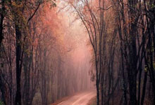 东方体育：21-22賽季西甲聯賽第33輪比賽集錦.