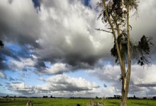 主场不敌升班马 热刺主帅愿为球队不稳表现负责.