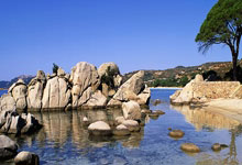 东方体育：[棋牌]高清-农心杯第14局决胜局 丁浩对决申真谞.